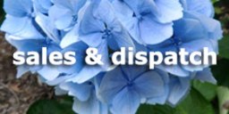 Woodleigh Nursery Sales and&nbsp;dispatch