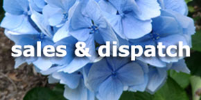 Woodleigh Nursery Sales and dispatch