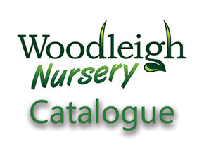 Woodleigh Nursery Catalogue
