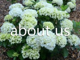 About Woodleigh Nursery
