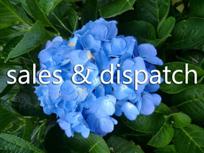 Woodleigh Nursery Sales and dispatch