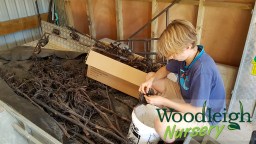 Lodi processing flax during&nbsp;lockdown