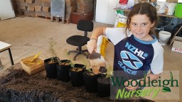 Miro potting during&nbsp;lockdown